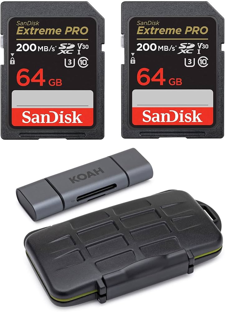 Memory Card 64 GB