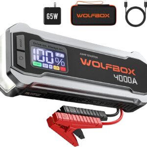 Wolfbox Megavolt 24